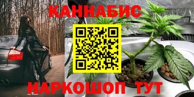 спиды Можайск
