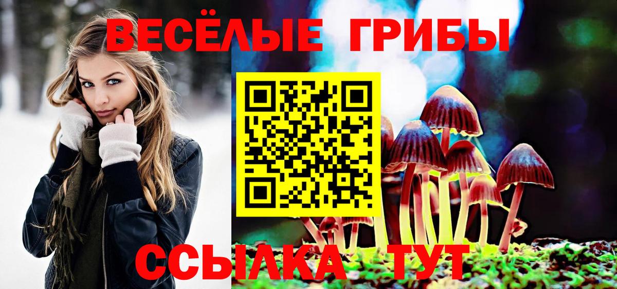 МЕТАДОН Тольятти
