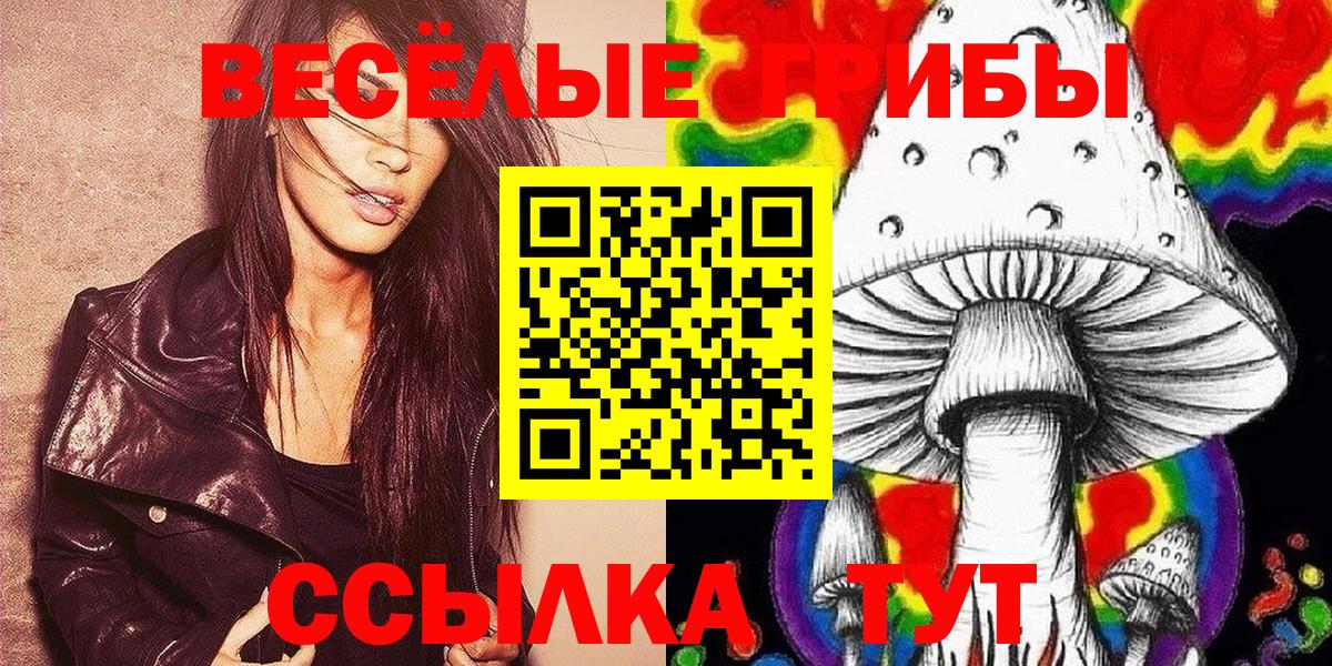 Галлюциногенные грибы Psilocybe Тольятти