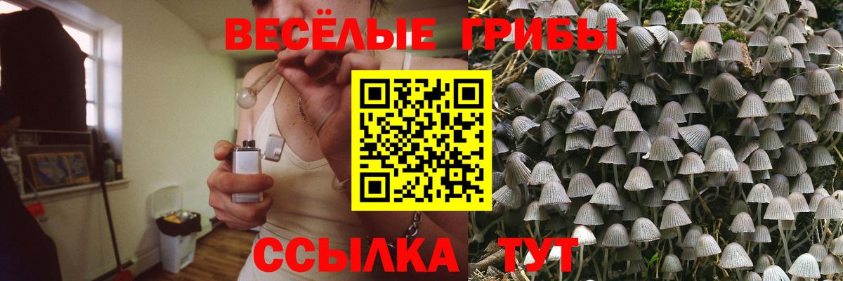 Галлюциногенные грибы GOLDEN TEACHER  Вход с VPN  Тольятти 